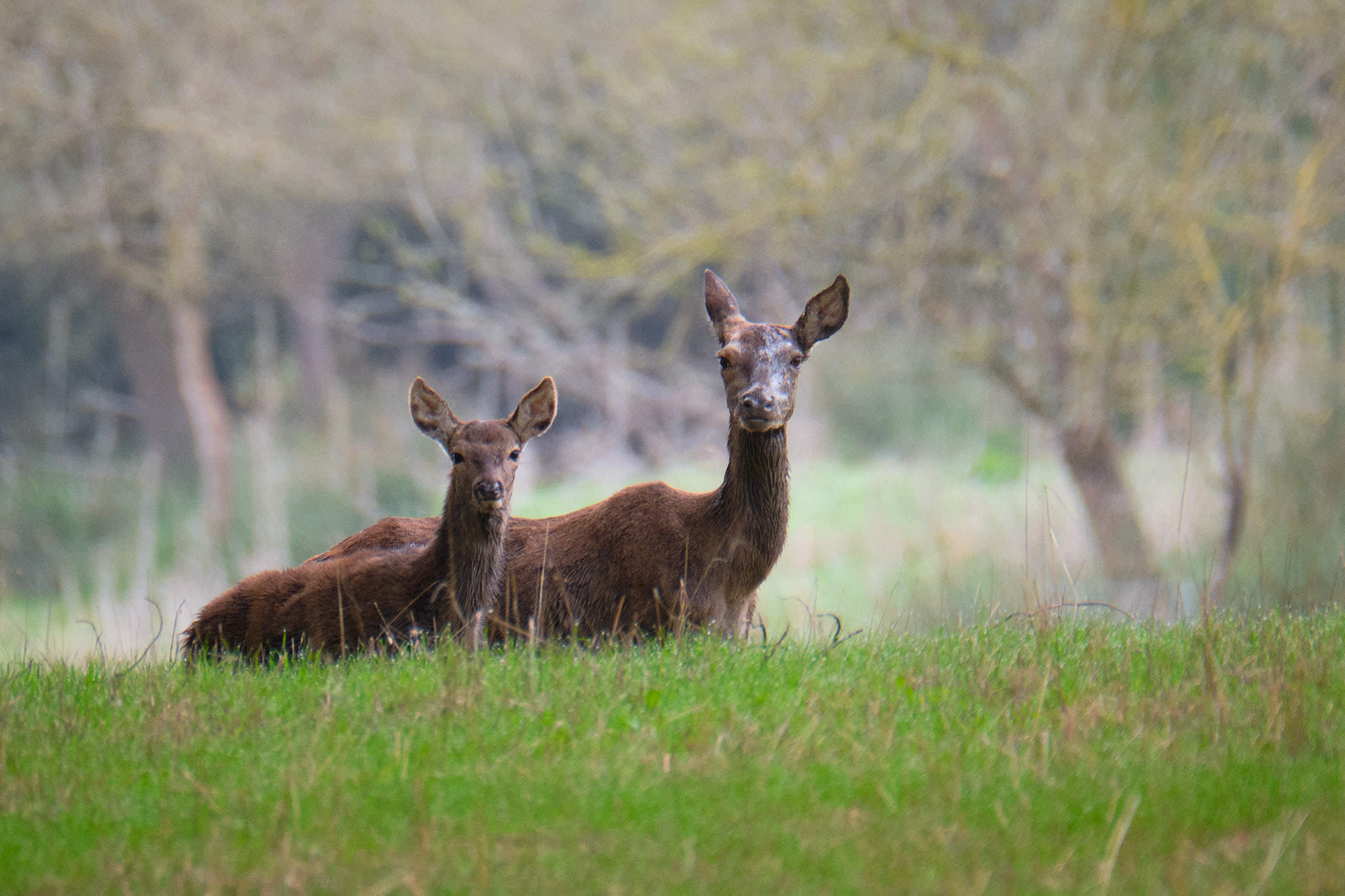 Spanien - Andalusien / Spain - Andalusia